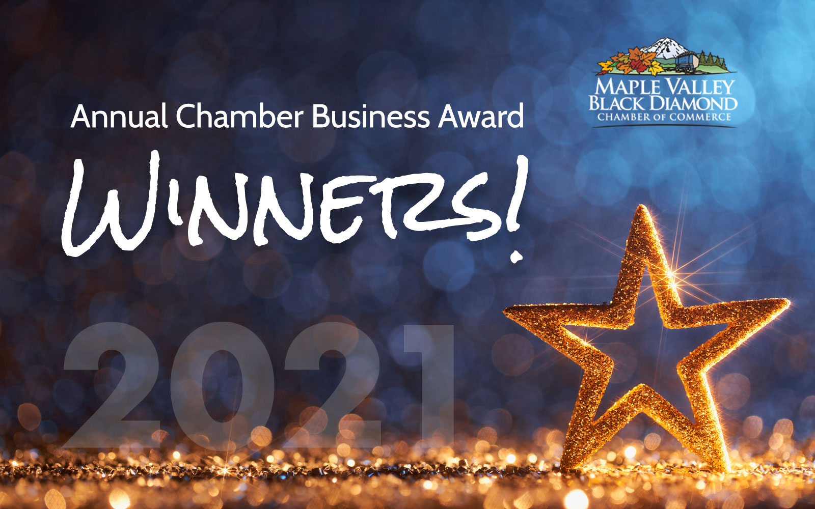 Annual Best Chamber Business Winners